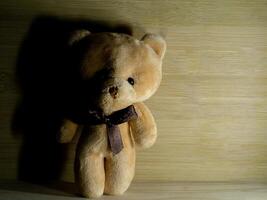 Brown bear doll photo