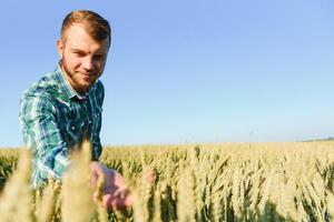 Happy mature technician checking the growth of the wheat for a quality control in a cereal field in summer photo