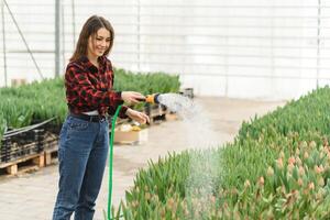 hermosa joven sonriente chica, trabajador con flores en invernadero. concepto trabajo en el invernadero, flores, tulipanes, caja con flores Copiar espacio. foto