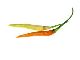 Fresh chilli on white background. photo