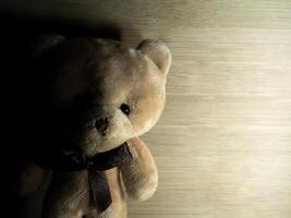 Brown bear doll photo