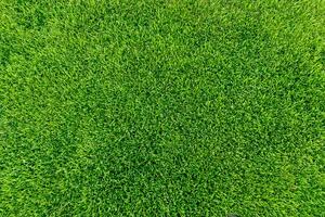 Fresh grass of the stadium photo