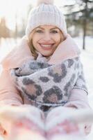 a beauty girl on the winter background photo