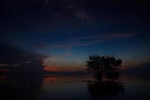 silueta árbol en el lago con amanecer cielo foto