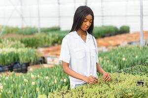 pretty young african gardener portrait in greenhouse photo