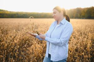 Caucasian female farm worker inspecting soy at field summer evening time somewhere in Ukraine photo