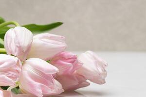 de cerca de rosado y blanco tulipanes en un mármol mesa foto