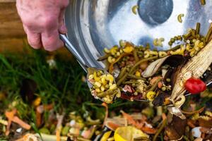 persona quien poner en un compostador algunos cocina residuos me gusta verduras, frutas, cáscara de huevo, café jardines en orden a ordenar y hacer bio fertilizante foto