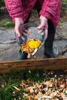 persona quien poner en un compostador algunos cocina residuos me gusta verduras, frutas, cáscara de huevo, café jardines en orden a ordenar y hacer bio fertilizante foto