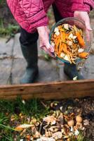 Person who put in a composter some kitchen waste like vegetables, fruits, eggshell, coffee grounds in order to sort and make bio fertilizer photo