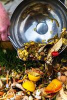 Person who put in a composter some kitchen waste like vegetables, fruits, eggshell, coffee grounds in order to sort and make bio fertilizer photo