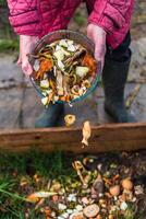 Person who put in a composter some kitchen waste like vegetables, fruits, eggshell, coffee grounds in order to sort and make bio fertilizer photo