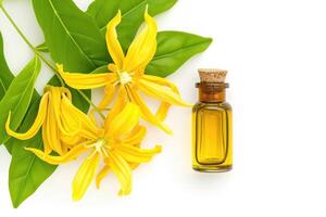 AI generated Ylang Ylang, The Essential Oil of Relaxation, isolated on white. generative ai photo