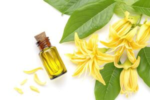 AI generated Ylang Ylang, The Essential Oil of Relaxation, isolated on white. generative ai photo