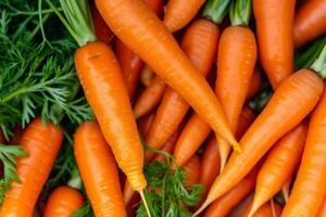 AI generated Texture background of fresh large organic orange carrots. Generative AI photo