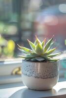 AI generated Small succulent plant in pot. Houseplant in flowerpot on a table. Generative AI photo