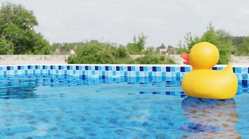 3d animação do uma amarelo brinquedo Pato caminhando e flutuando dentro uma natação piscina video