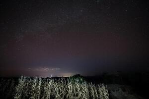 A star at nigh sky with cloudy photo