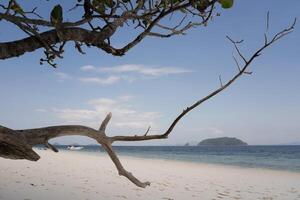 beach at ocean in Tropicana photo