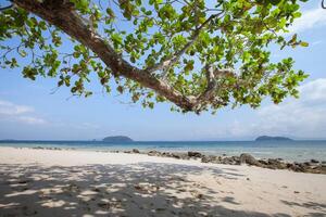 beach at ocean in Tropicana photo