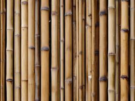 ai generado dorado amarillo bambú textura, seco bambú pared o cerca fondo, bambú antecedentes foto