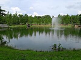 Photo of a lake and fountain surrounded by green grass