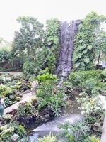 Photo of a beautiful waterfall garden full of fresh green plants