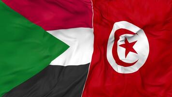 Tunisia and Sudan Flags Together Seamless Looping Background, Looped Cloth Waving Slow Motion, 3D Rendering video