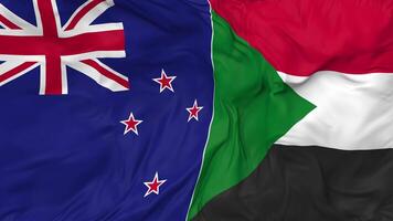 New Zealand and Sudan Flags Together Seamless Looping Background, Looped Cloth Waving Slow Motion, 3D Rendering video