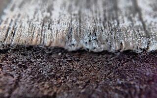 Macro shot of old wooden surface. Shallow depth of field. photo