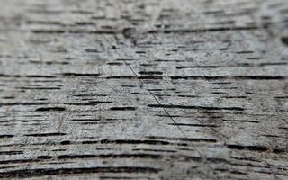 Wooden texture with natural patterns as a background photo