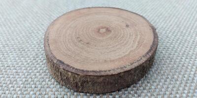 Cross section of tree trunk showing growth rings on a textured background photo