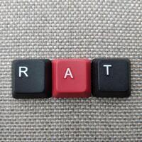 RAT keyboard button on grey background. RAT is short for Return on investment. photo