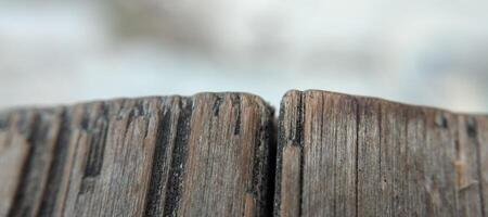 cerca arriba de antiguo madera textura antecedentes con selectivo atención y superficial profundidad de campo foto