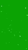 Snowfall overlay on green background. Winter slowly falling snow effect. 4K vertical animation. video