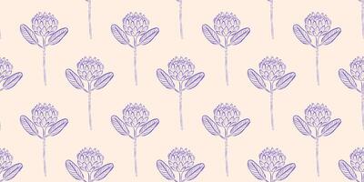 Seamless pattern with protea. Spring or summer background. Packaging design, textiles in retro rustic style. Vector illustration