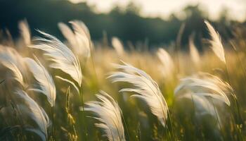 AI generated Feather grass on the summer meadow. Beautiful, magical, abstract background of grass in the summer meadow. Feather grass fluttering in the wind. photo