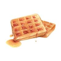 Belgian waffles honey watercolor drawing. Liege cake sweet bakery tasty dessert illustration. Pastry aquarelle isolated. Delicious breakfast treat griddle caramelized sugar vector