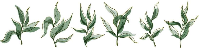 Vector hand drawn green nature olive branches set with retro risograph effect and splash texture. Italian Greek healthy plants isolated on white background.