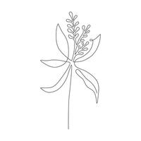 Wildflower line art vector