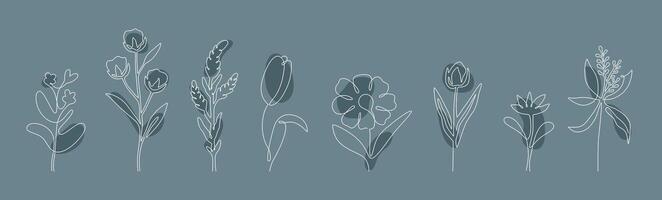 Hand drawn floral botanical silhouettes vector