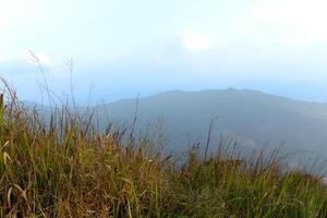 The foreground is covered with grass. Landscape view of mountain ranges lined up background. Under fog covers the sky. At Phu Langka Phayao Province of Thailand. photo