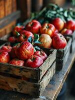 AI generated fresh red apples stored in wooden busket photo