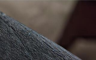 Black wood texture background close up with selective focus and shallow depth of field photo