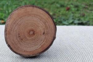 Wooden cross section of a tree trunk on a background of green grass photo