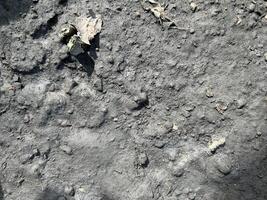Grey Color Soil Textured Terrain photo