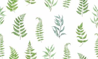Seamless watercolor pattern with fern, eucalypt. Hand drawn illustration isolated on white background. Vector EPS.