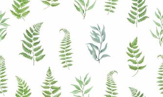 Seamless watercolor pattern with fern, eucalypt. Hand drawn illustration isolated on white background. Vector EPS.