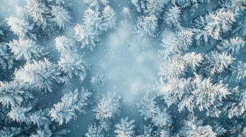 AI generated an aerial view of a snowy forest photo