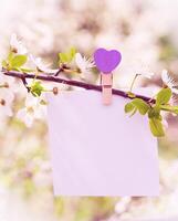 A note with a heart-shaped clothespin on a blooming branch. Card for Mother's Day and Valentine's day. Mockup. Copy space. Selective focus. photo